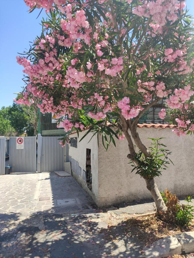 Casa Vacanze Fiumicino Dış mekan fotoğraf